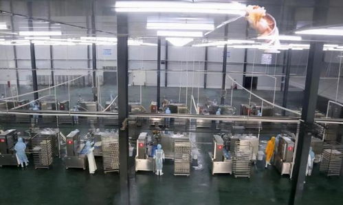 投资超2.5亿 今年,长葛西南部要建一个商贸城 一个食品产业园
