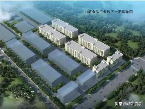 转作风 优服务, 助力鹿泉项目 加速度